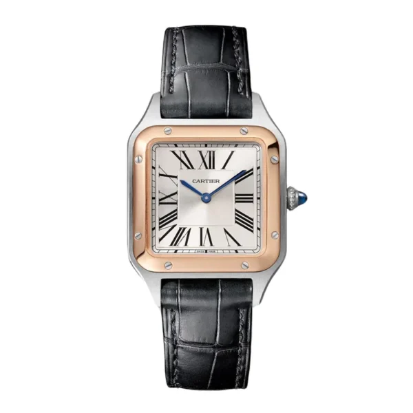 Super Clone Cartier Santos Dumont Large W2SA0011 Replica watch
